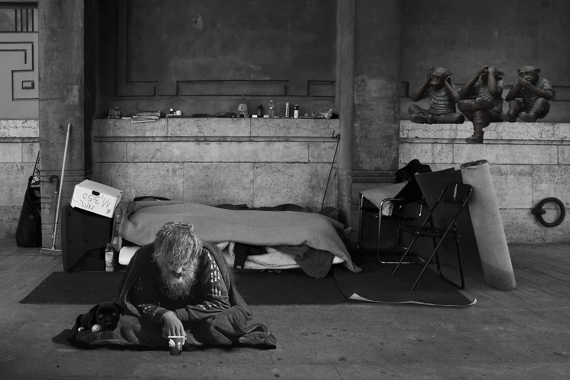 homeless-man-2653445_1920