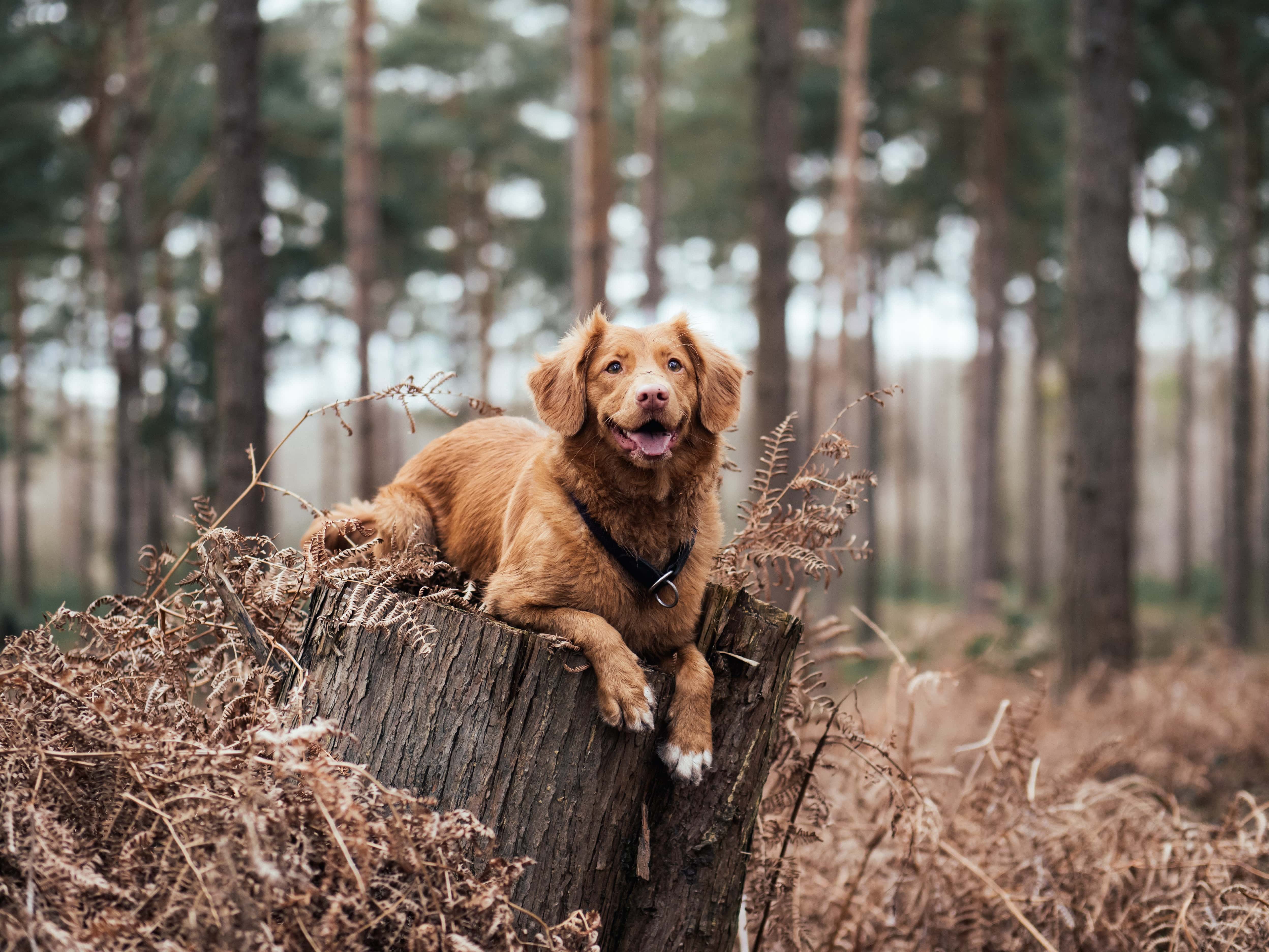 jamie-street-zwW7ZQO5-Lo-unsplash