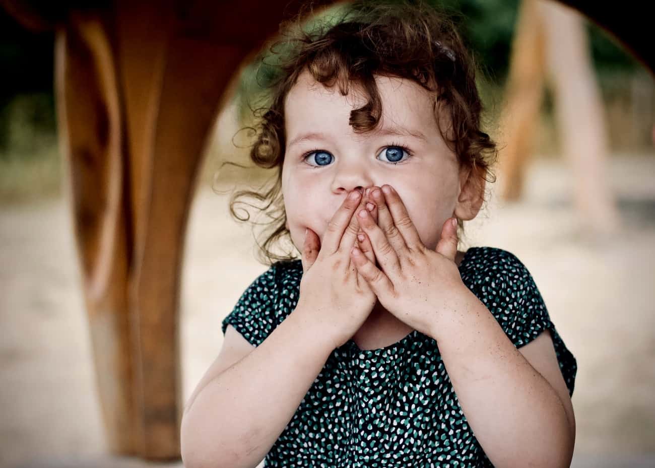 photo-1533374206871-33b8f07c216c