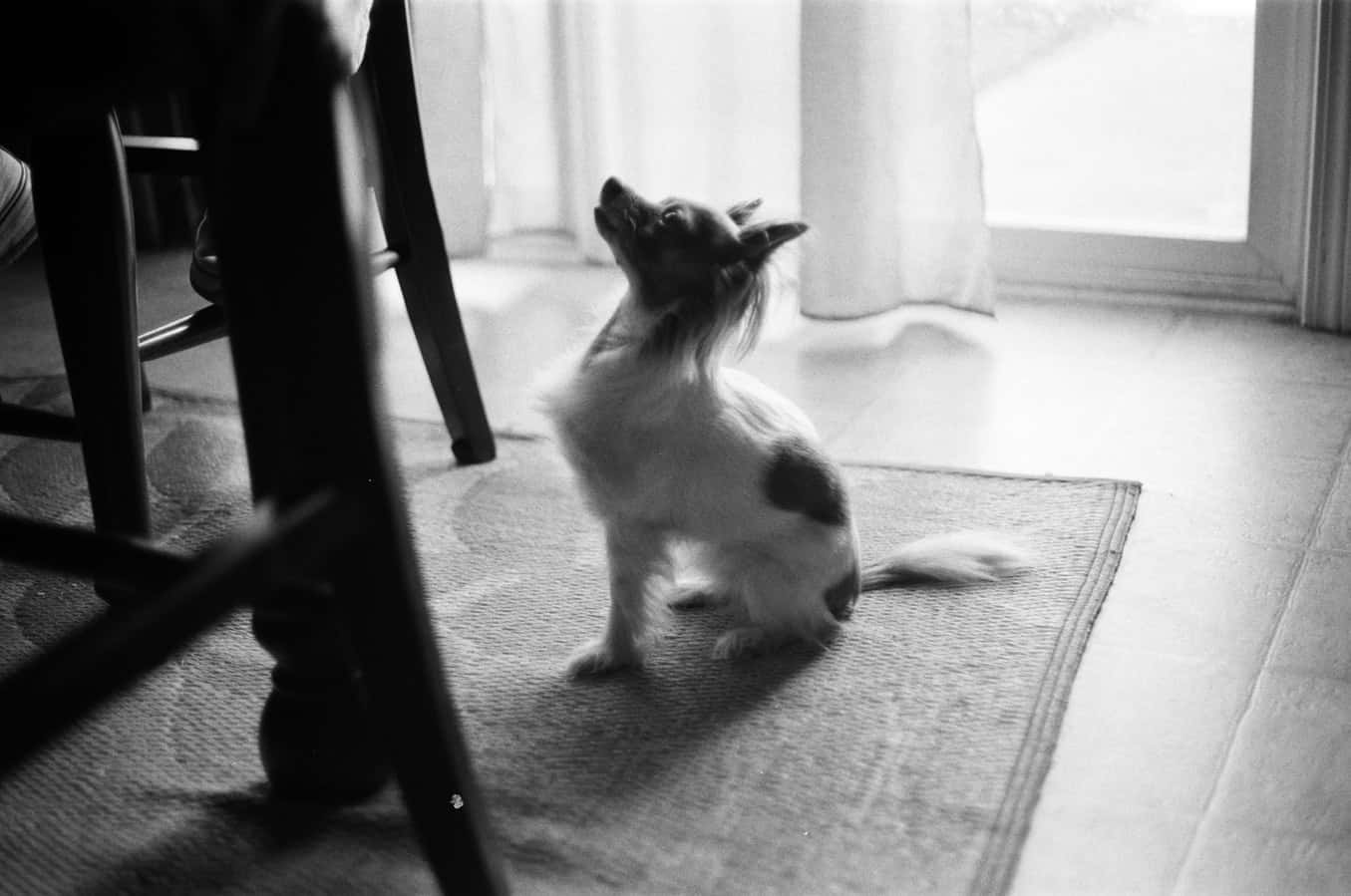 photo-1565656662217-5403ec5543a3