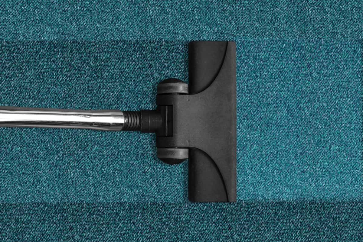 vacuum_cleaner_vacuuming_cleaning_washing_cleanup_carpet_carpeting-987841-1557987057219.jpg
