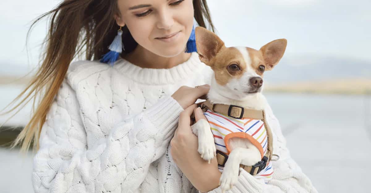 Veterinarians Reveal The Common Mistakes We're Making With Our Pets