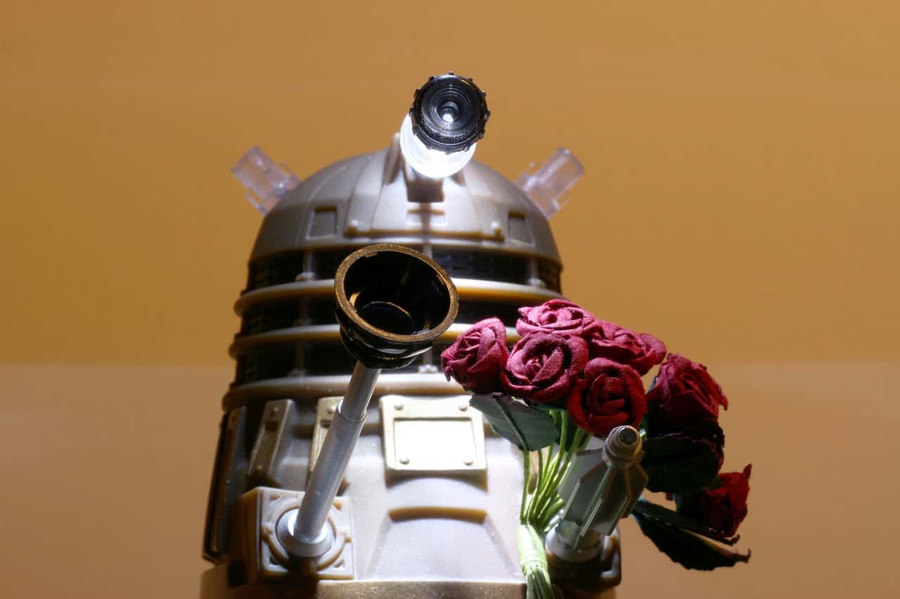 10152-dalek-toy-flowers-brown-1635054