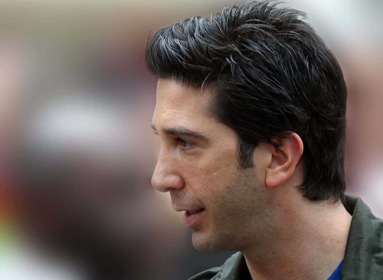 1229px-David_Schwimmer_Jul_2005_London,_England_Crop&blur(1)