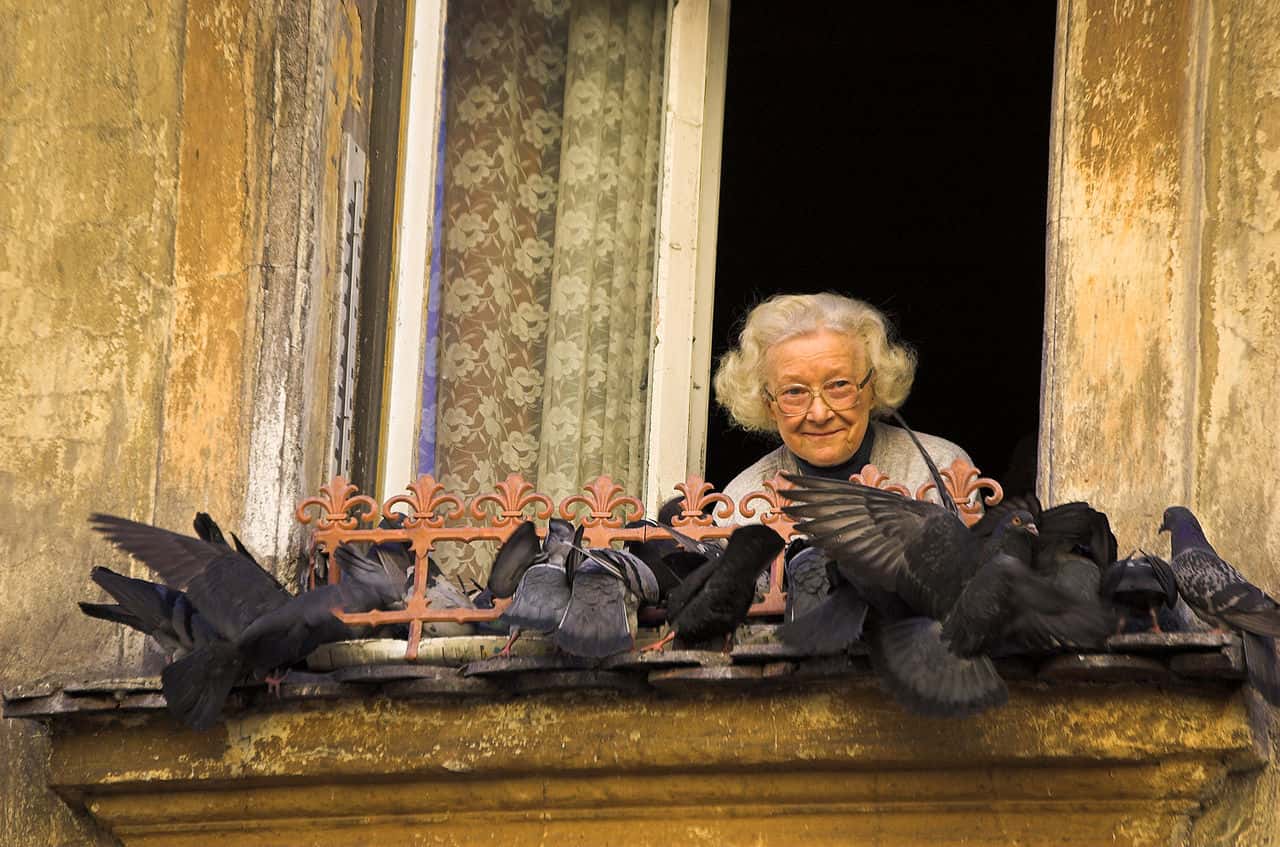 1280px-Old_woman_feeding_birds