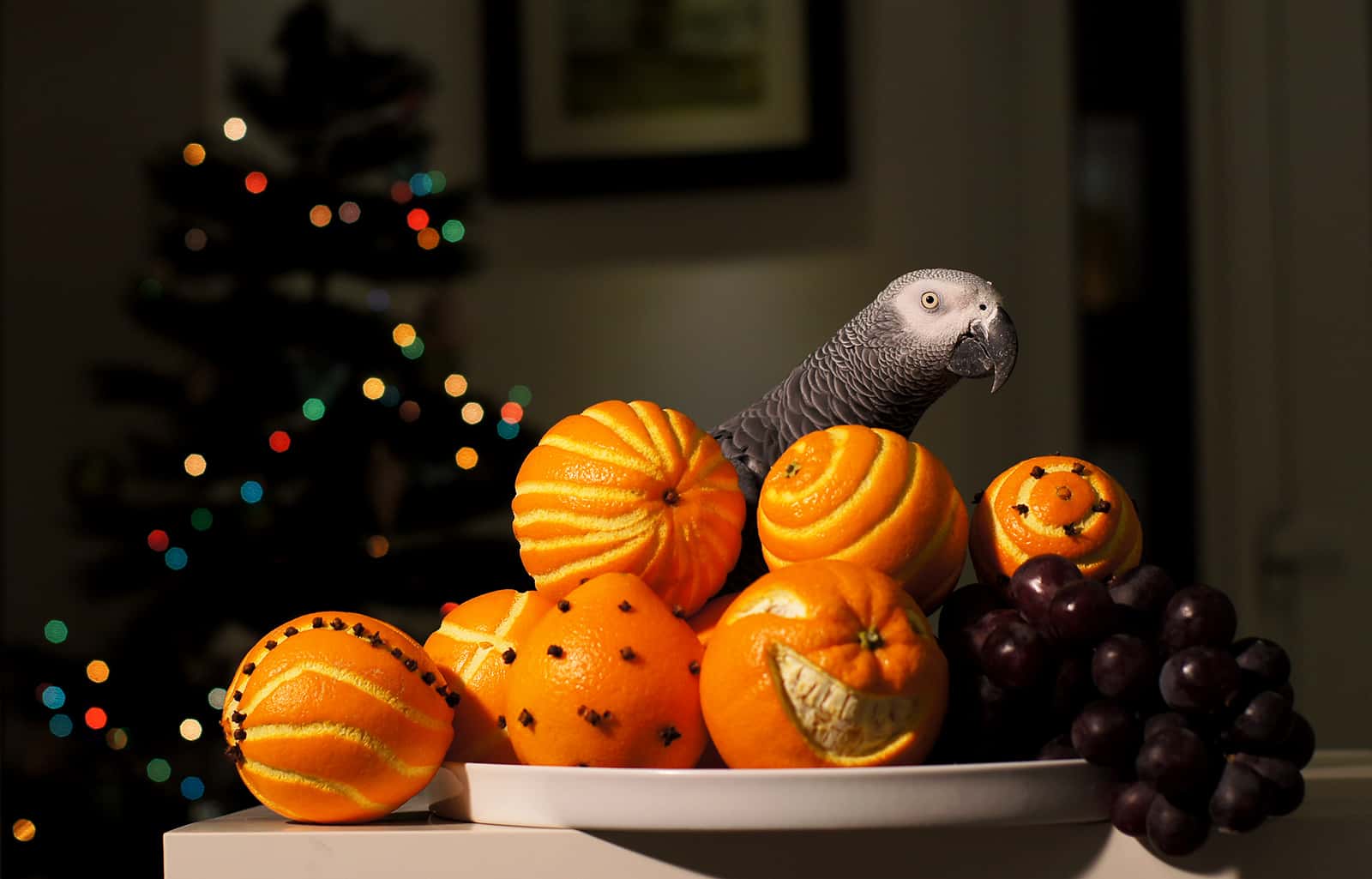 15913304269_8a80253503_o