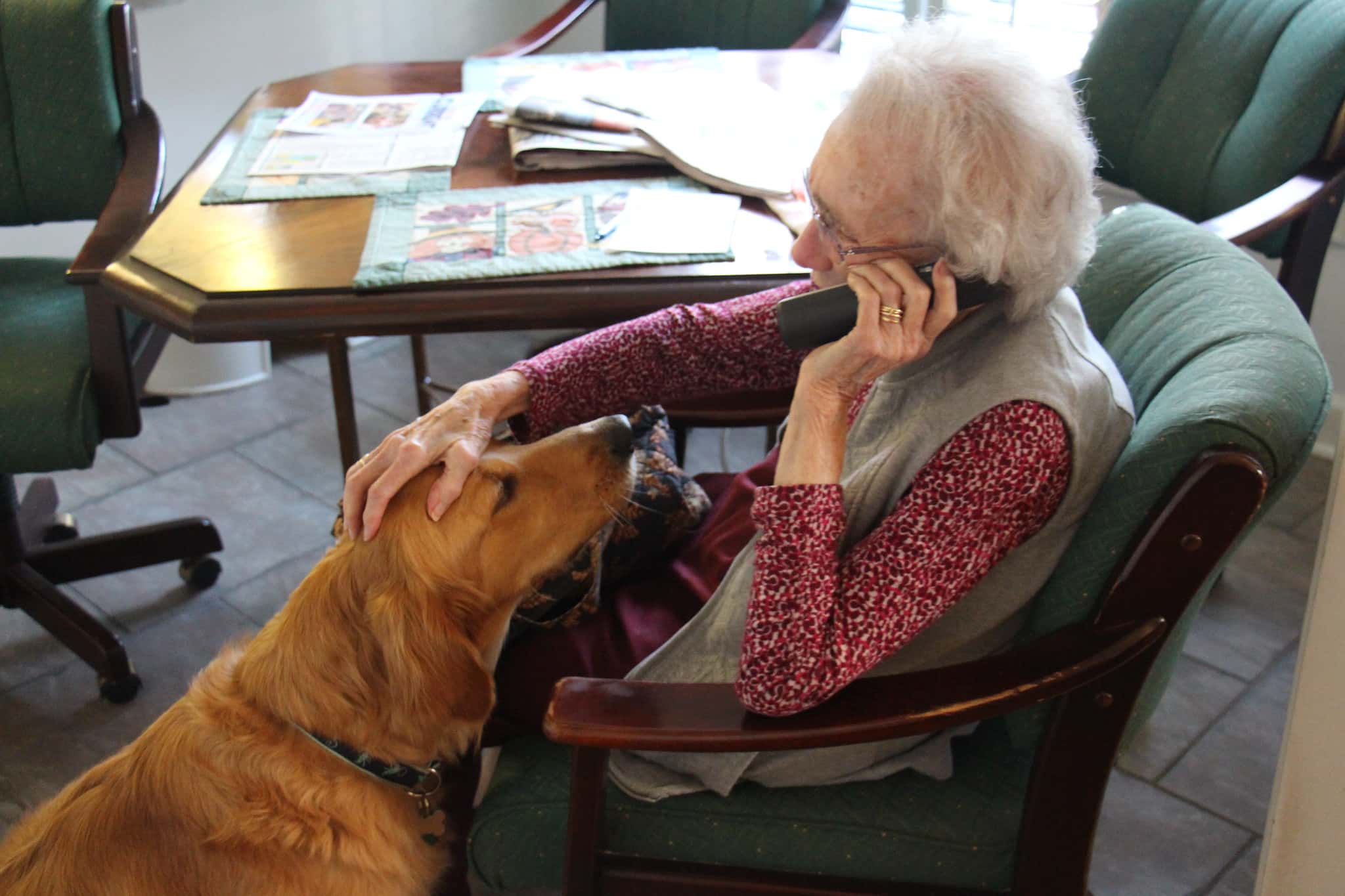 23595600446_ae97e06c8b_k