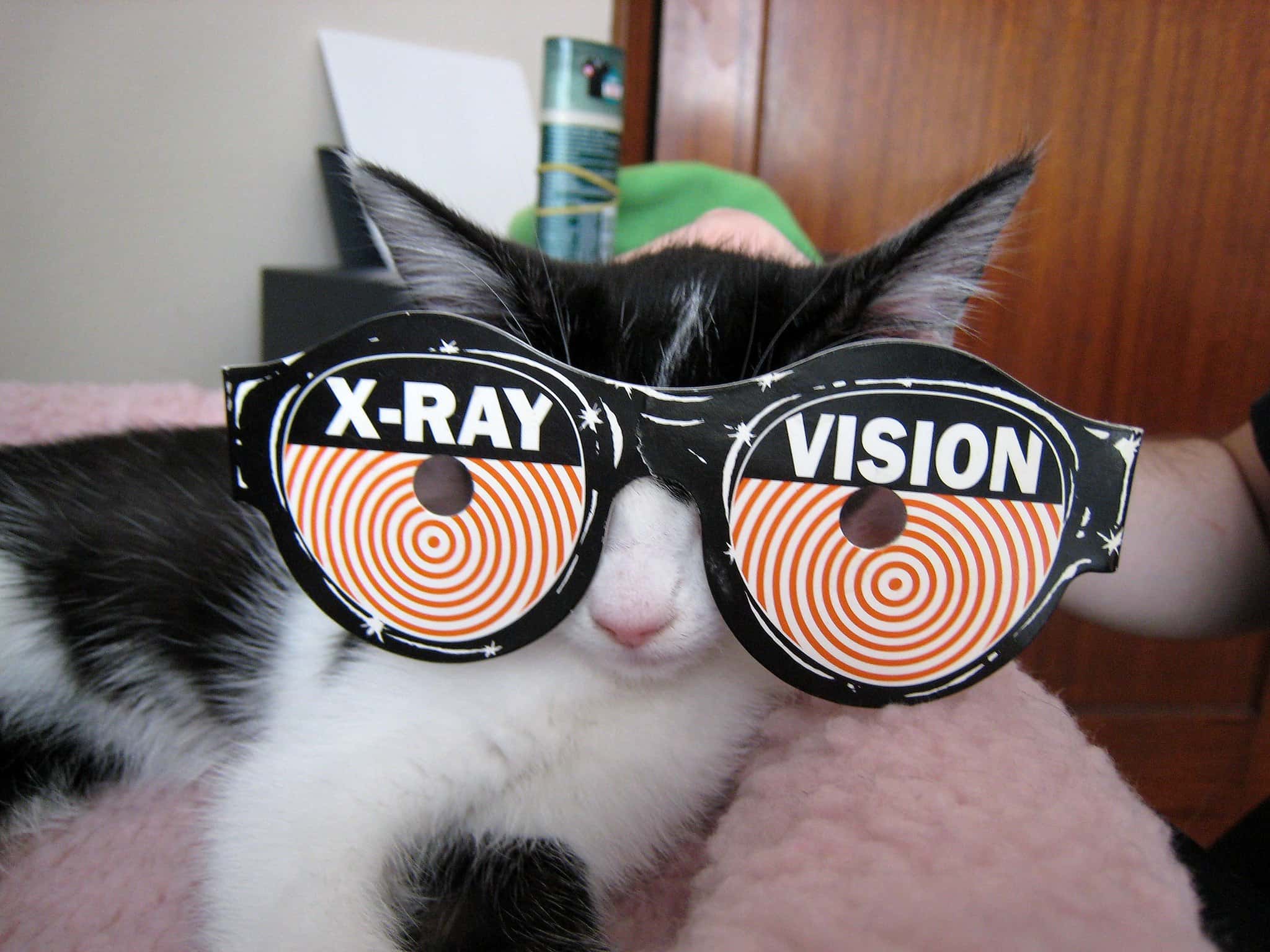 2558386173_aa5a01332a_k