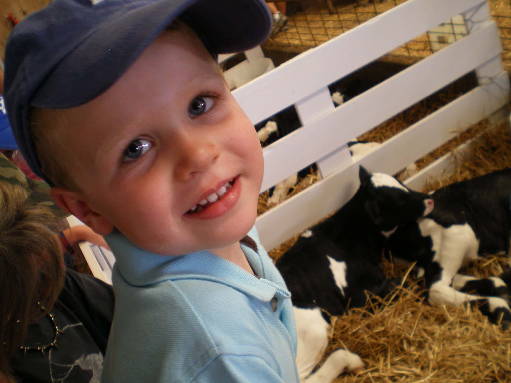 2613267870_6046b0c0a5_k