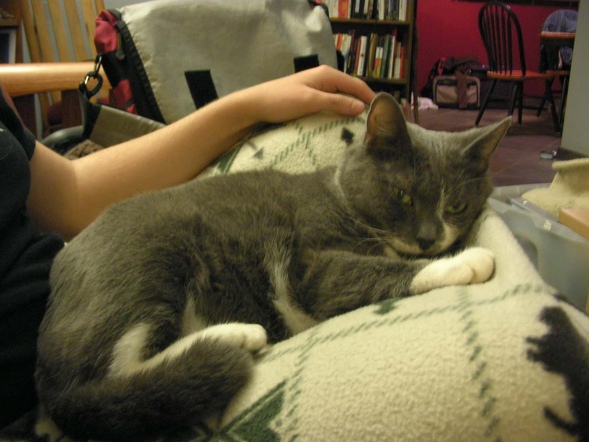 SANYO DIGITAL CAMERA