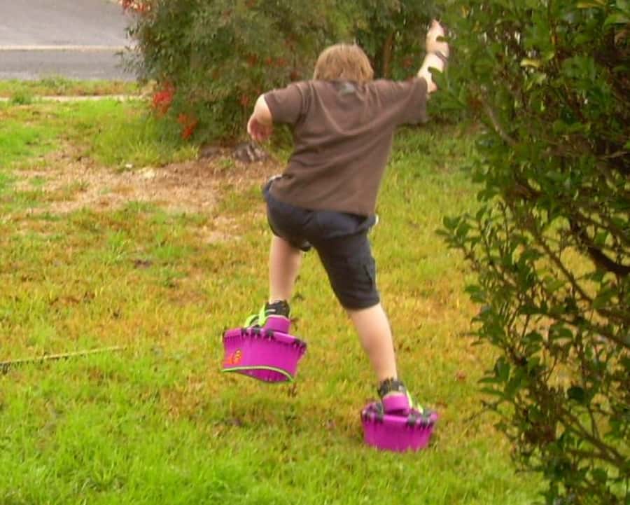 350101678_6af2f190f2_o(1)