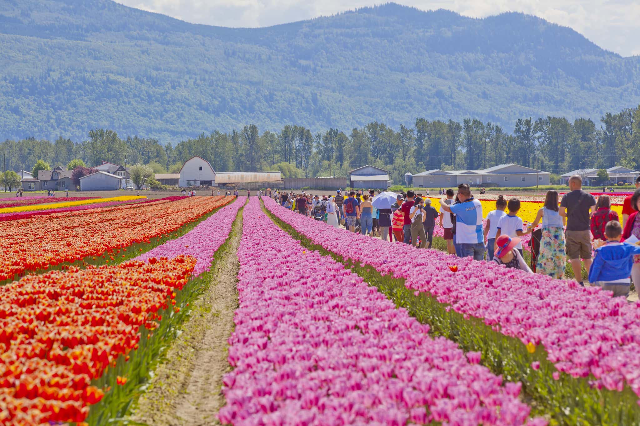 41046330035_2662e1b86d_k