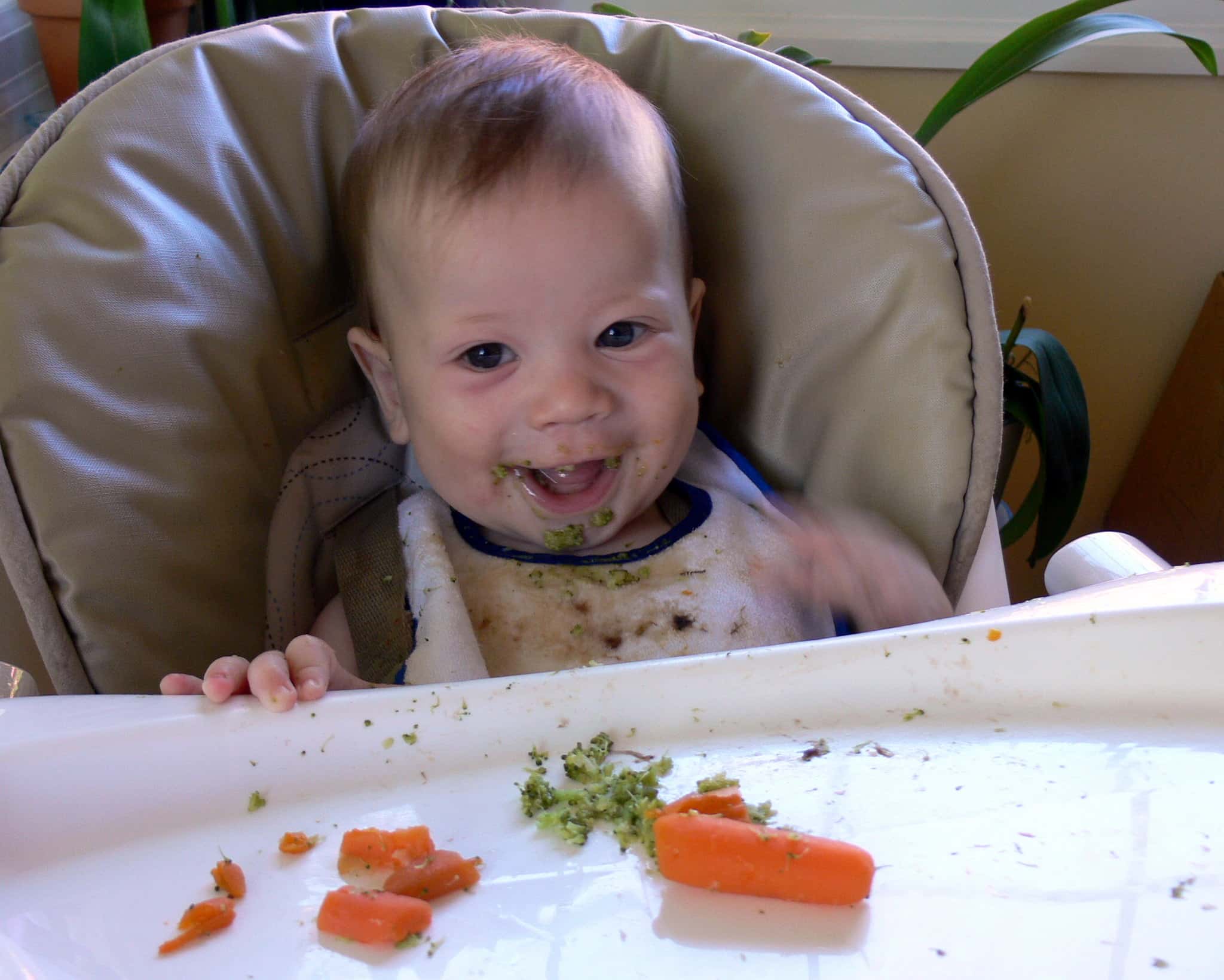 572755154_a73cc19698_k