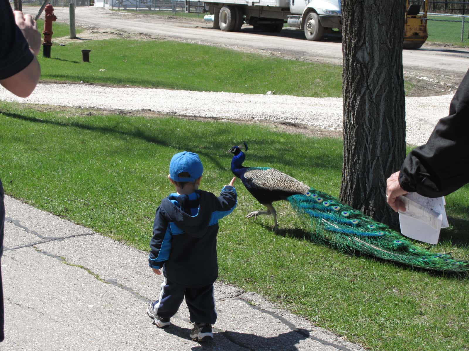 5732675998_b73a03c7ba_o