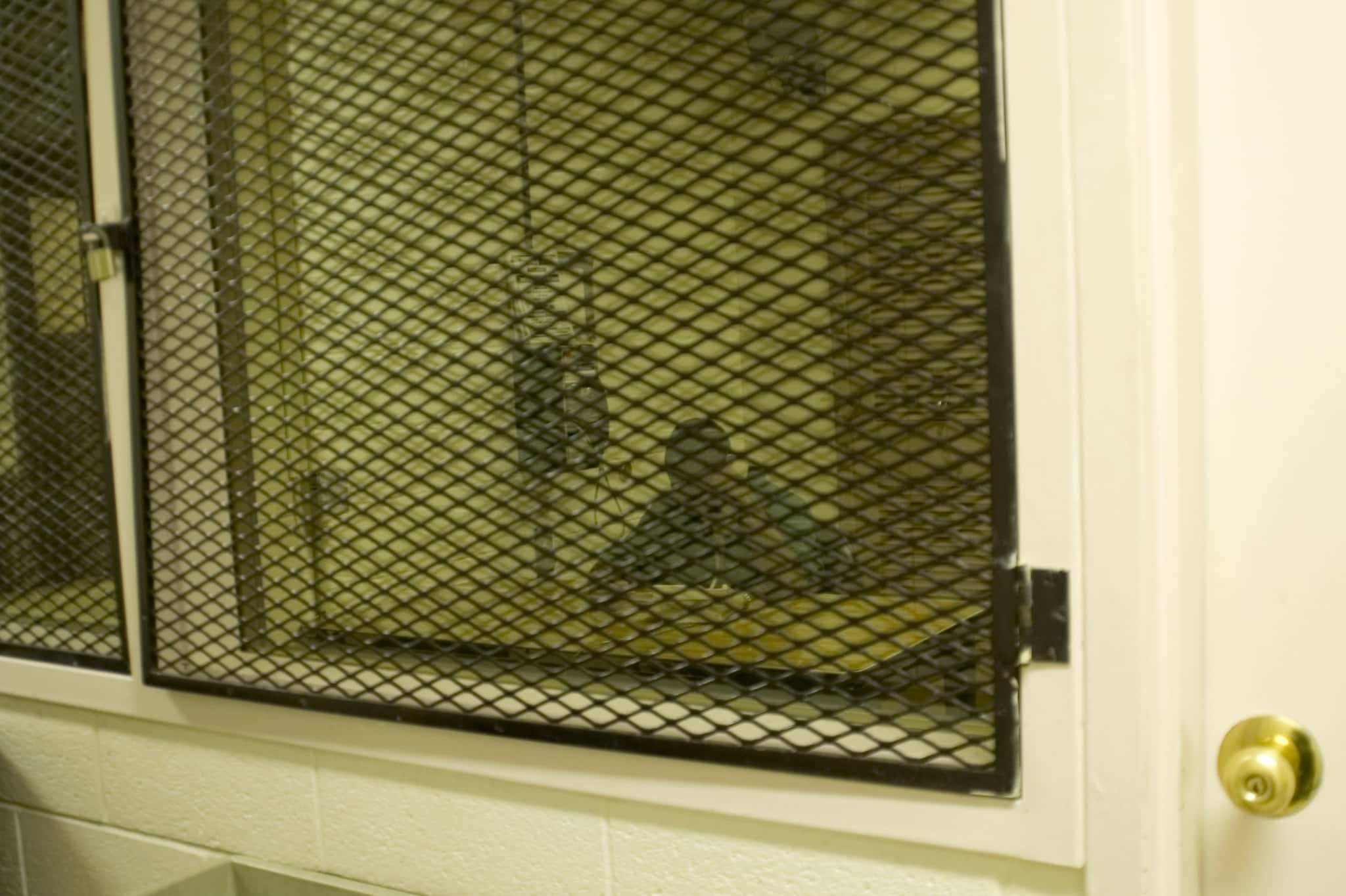 82371499_c0da516992_k