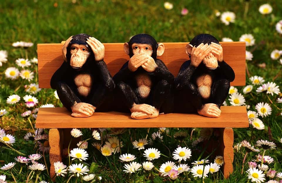 Do Not Speak Bank Not Hear Sit Ape Not See