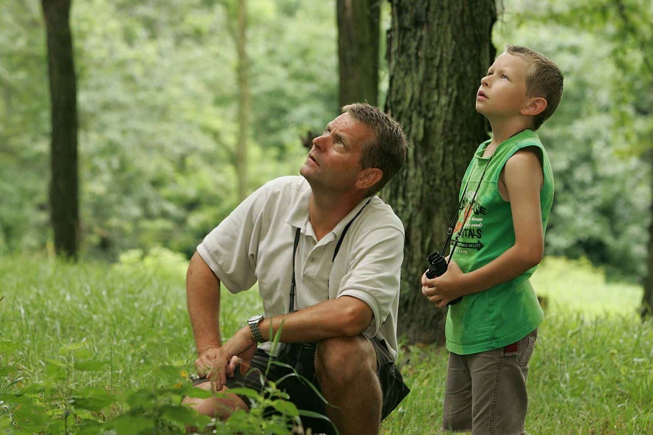 Father_and_son_enjoy_a_leisurely_afternoon_of_birdwatching