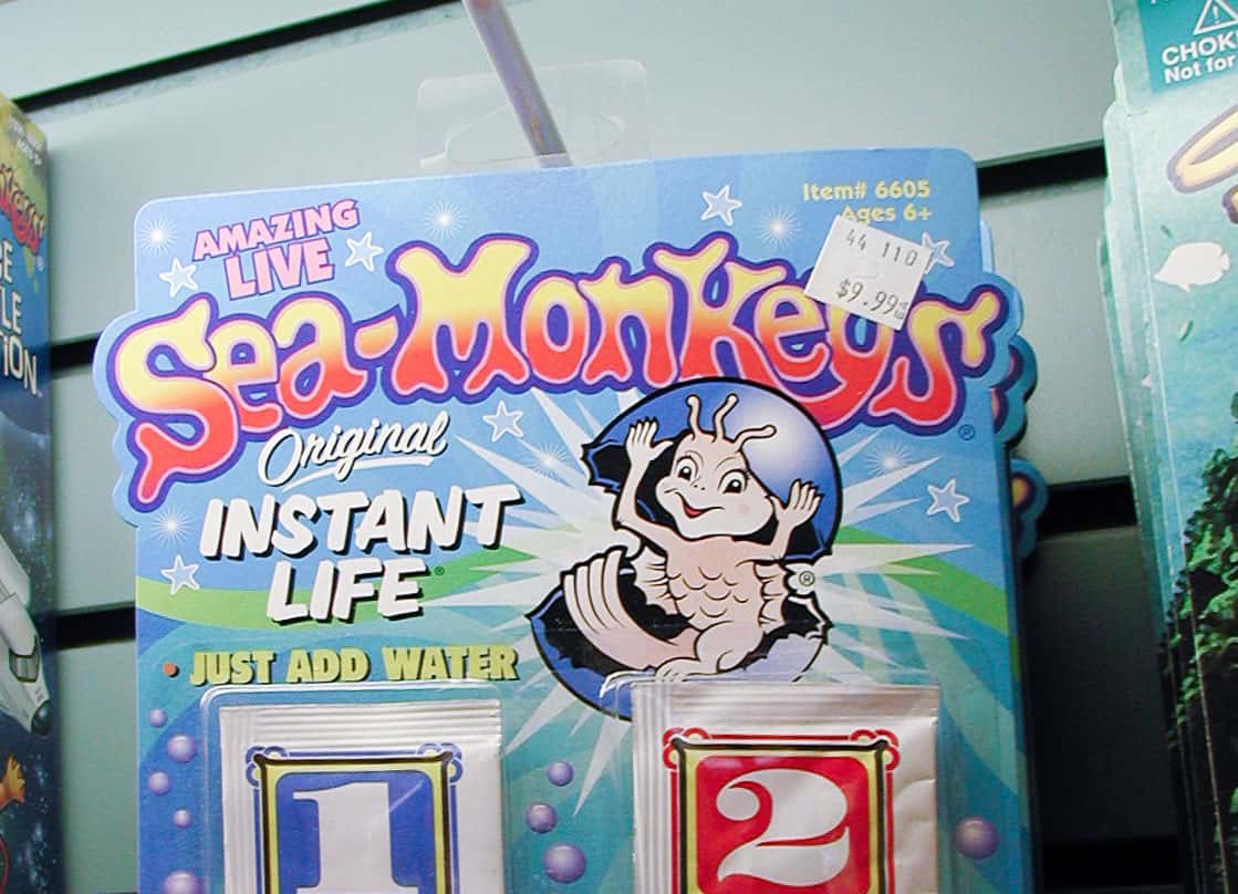 Sea-monkeys