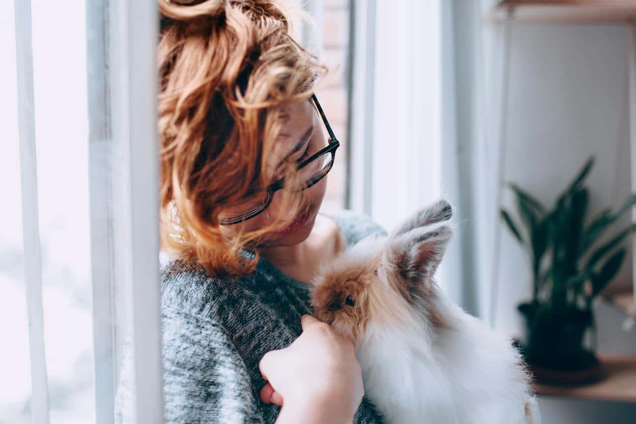 adorable-affection-animal-animal-lover-beautiful-bonding-1566039-pxhere.com