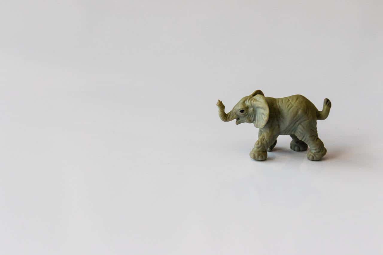 animal-art-baby-elephant-figurine-illustration-1527005-pxhere.com