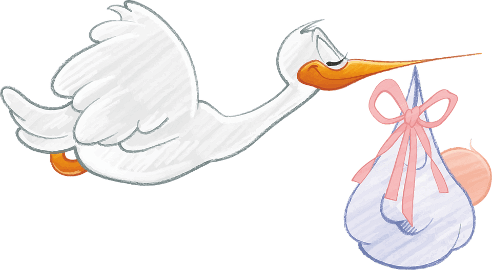 baby-1299514_960_720