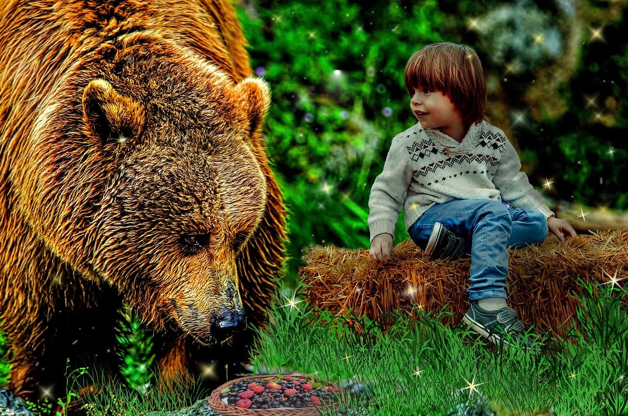 bear-2480066_1280