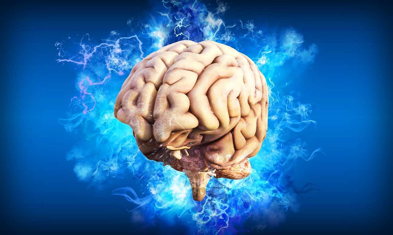 brain-4314636_1280