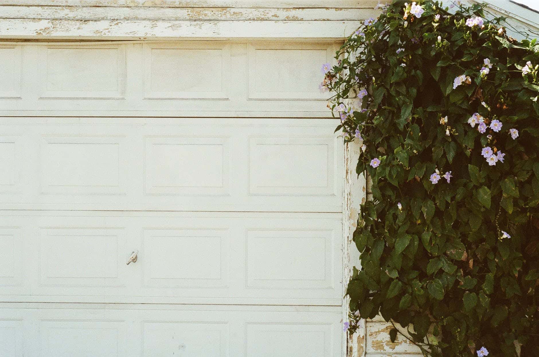 door-closed-garage