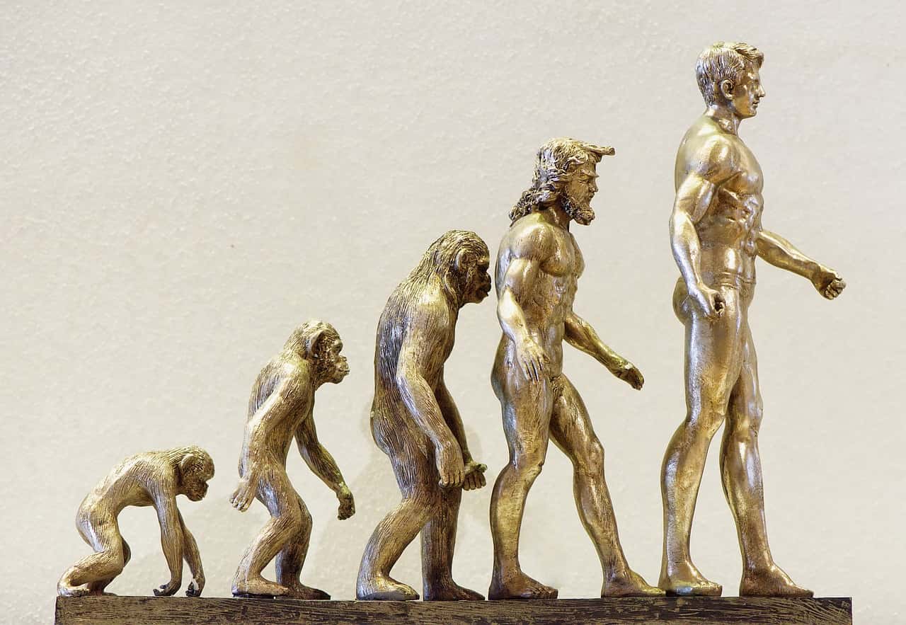 evolution-4107273_1280