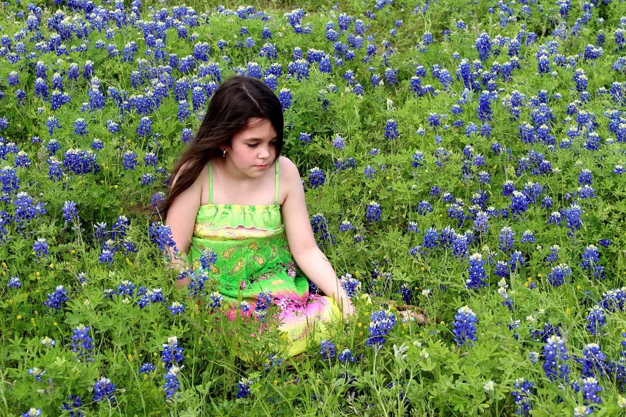 flowers-1253386_1280