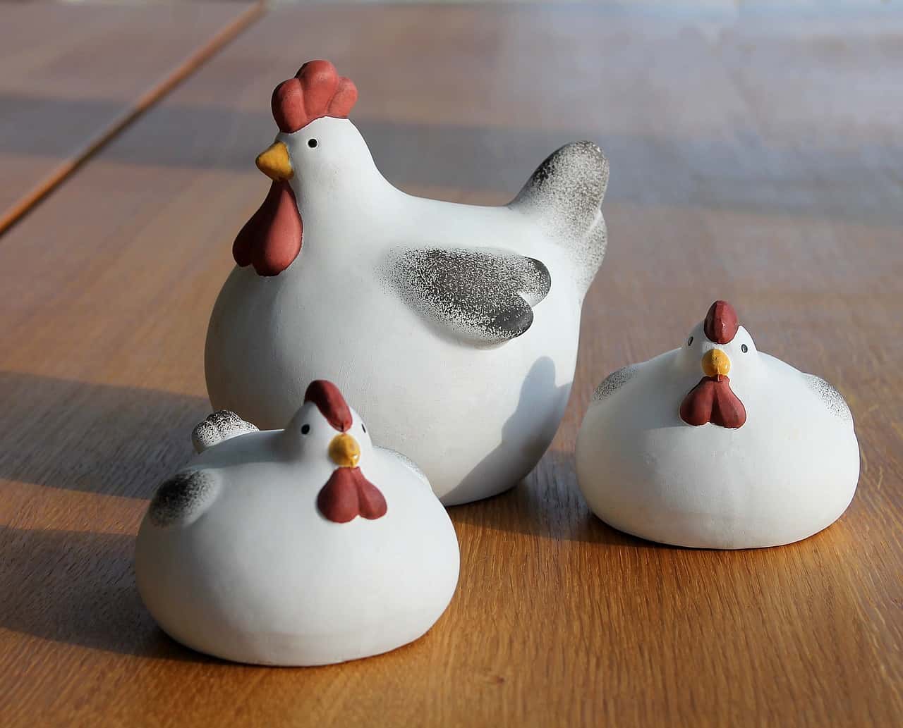 hens-1252399_1280