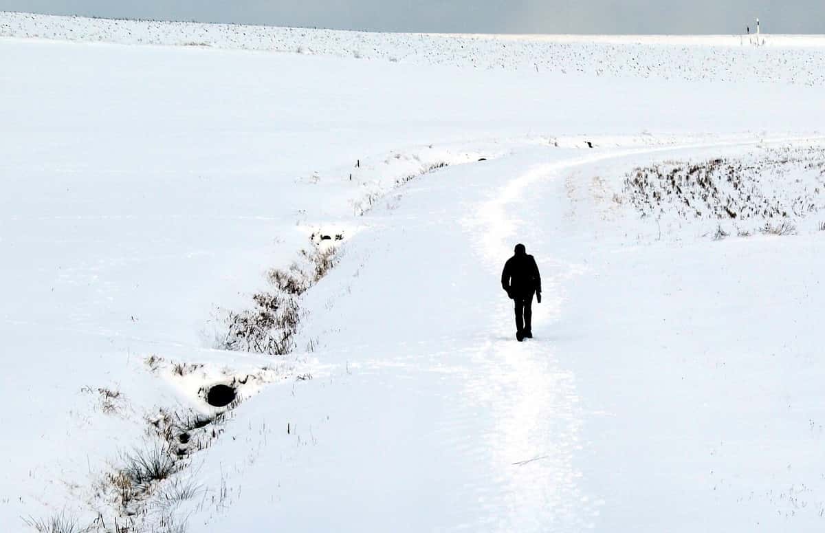 man-nature-walking-person-snow-cold-784756-pxhere.com(1)