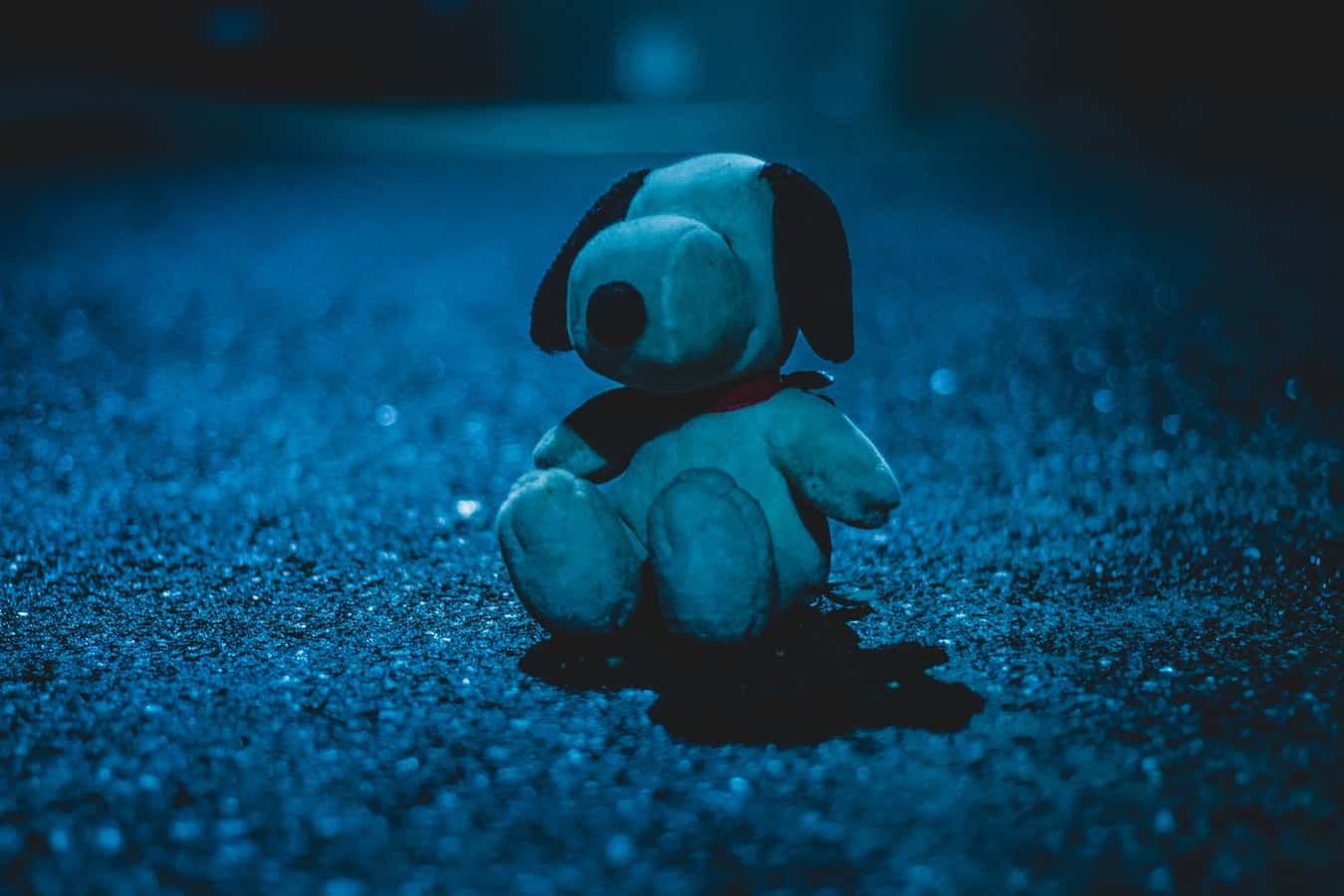 photo-1530935379872-c8db1b1430db (1)