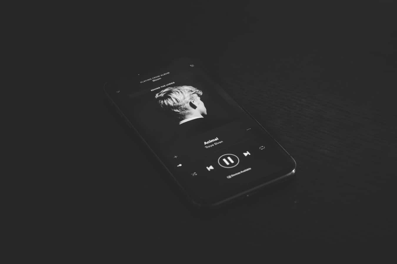 photo-1535925191244-17536ca4f8b6