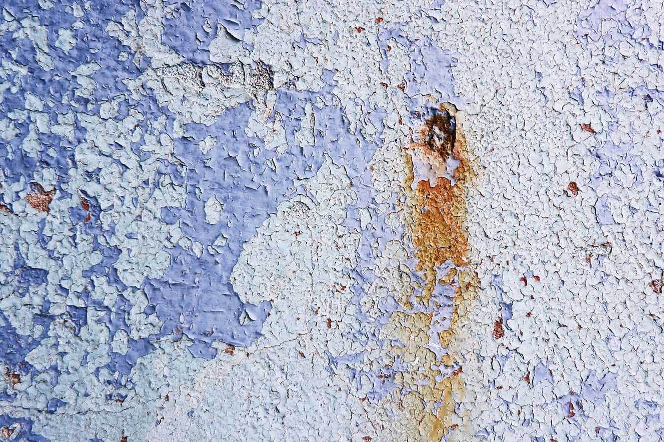 photo-1550530263-04c04af01083