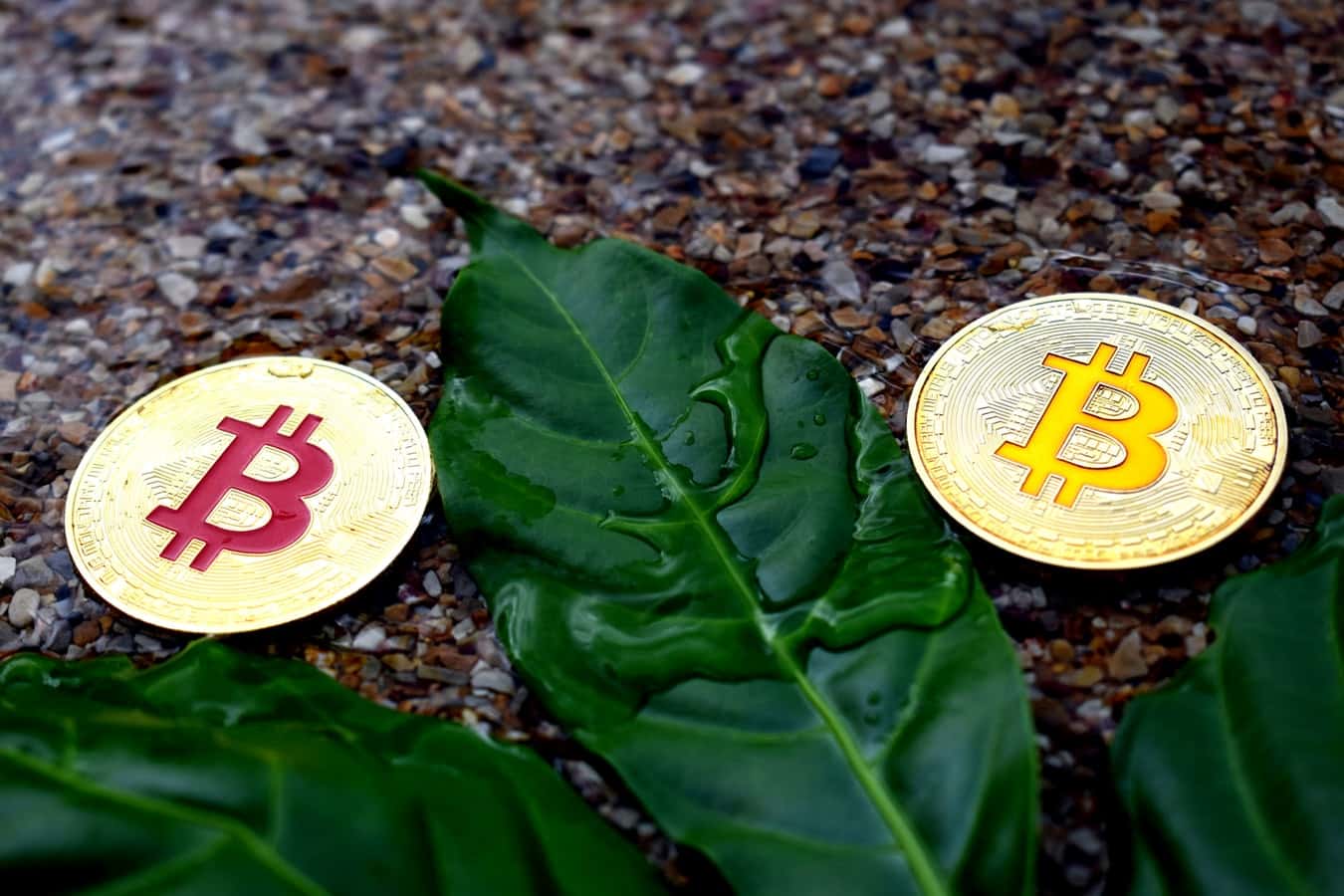 photo-1561631968-33eac1e2186b