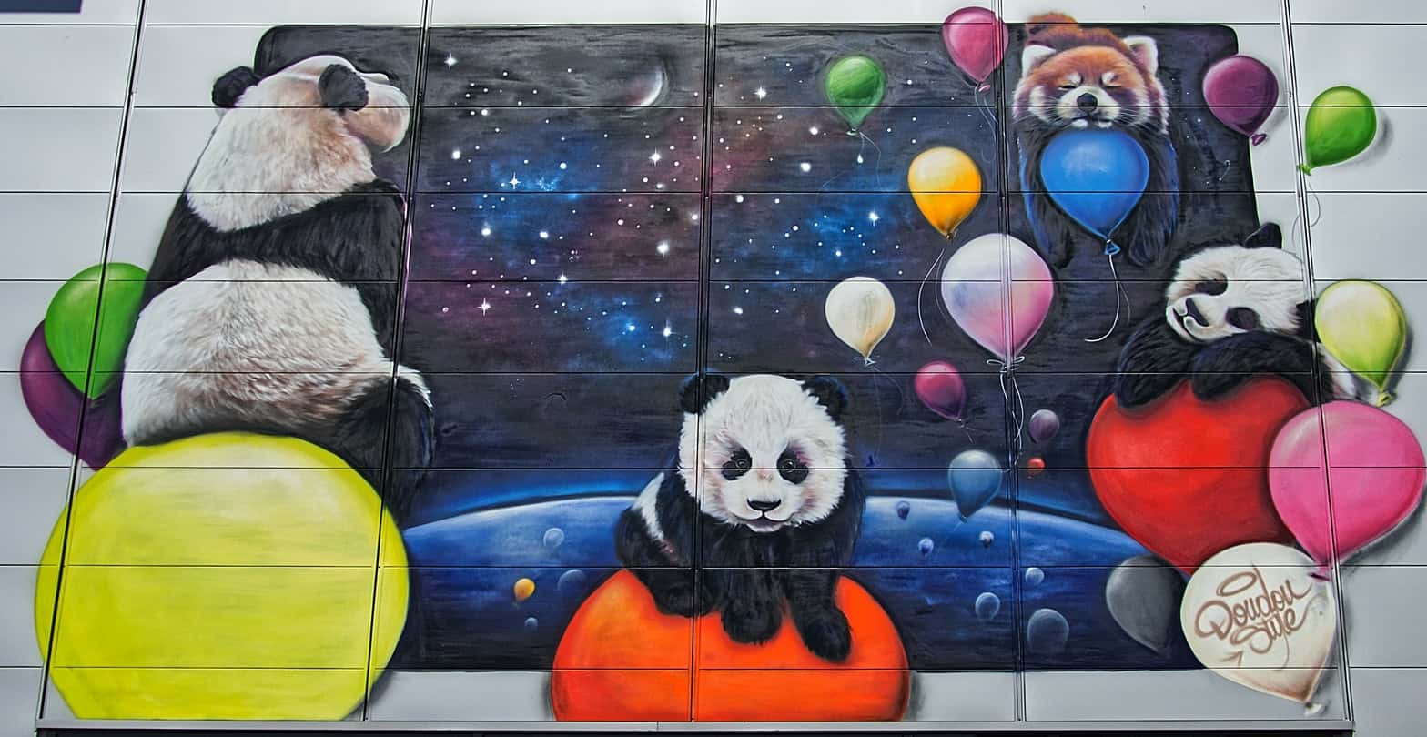 photo-1568931497588-e51fe300a74e