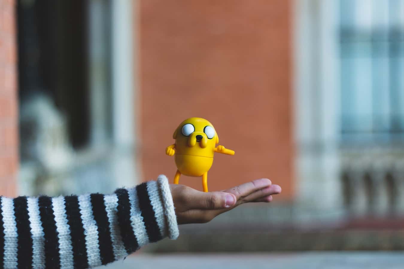 photo-1569809317138-8d2ff6060c4e