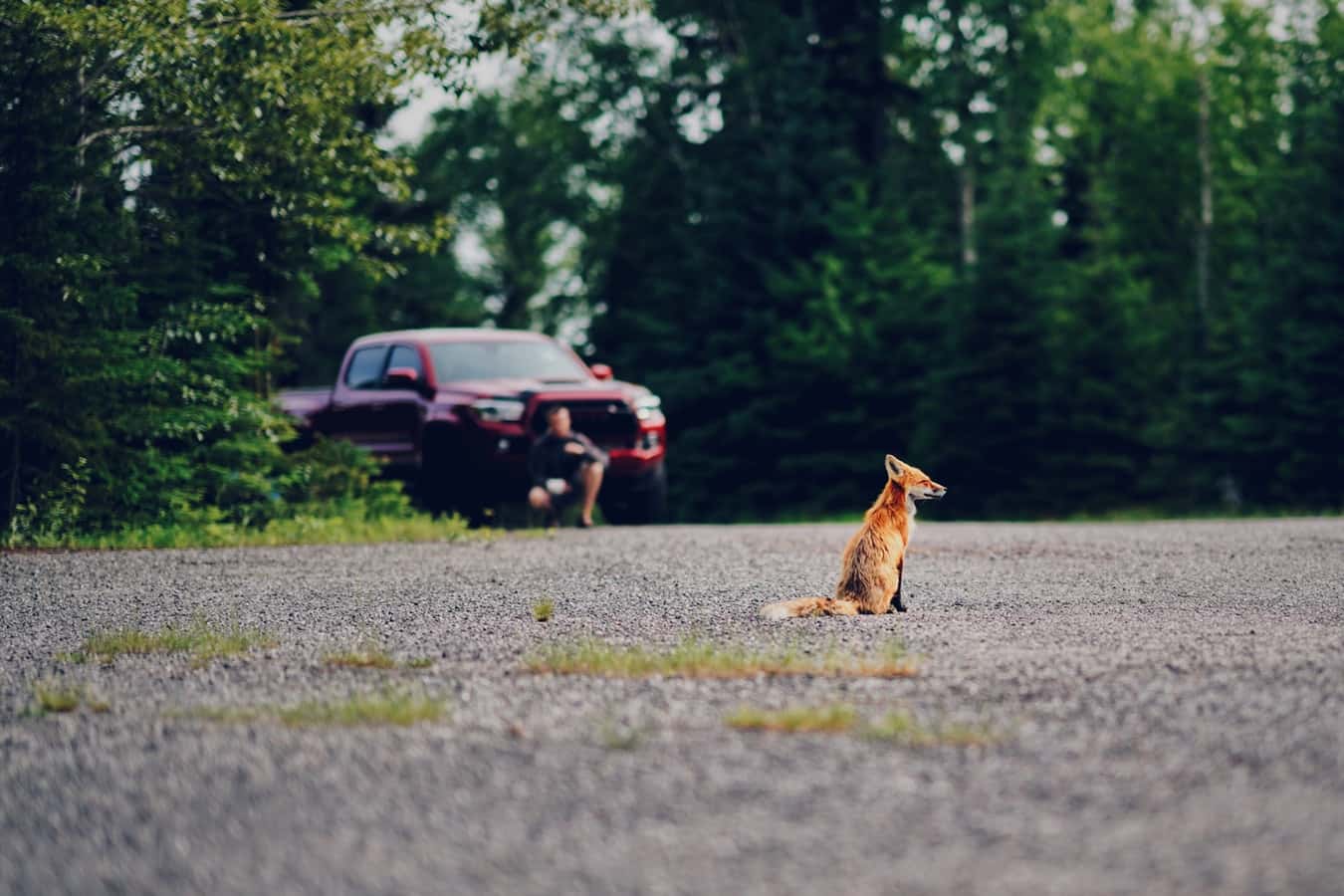 photo-1571775300511-ef41b23ce413