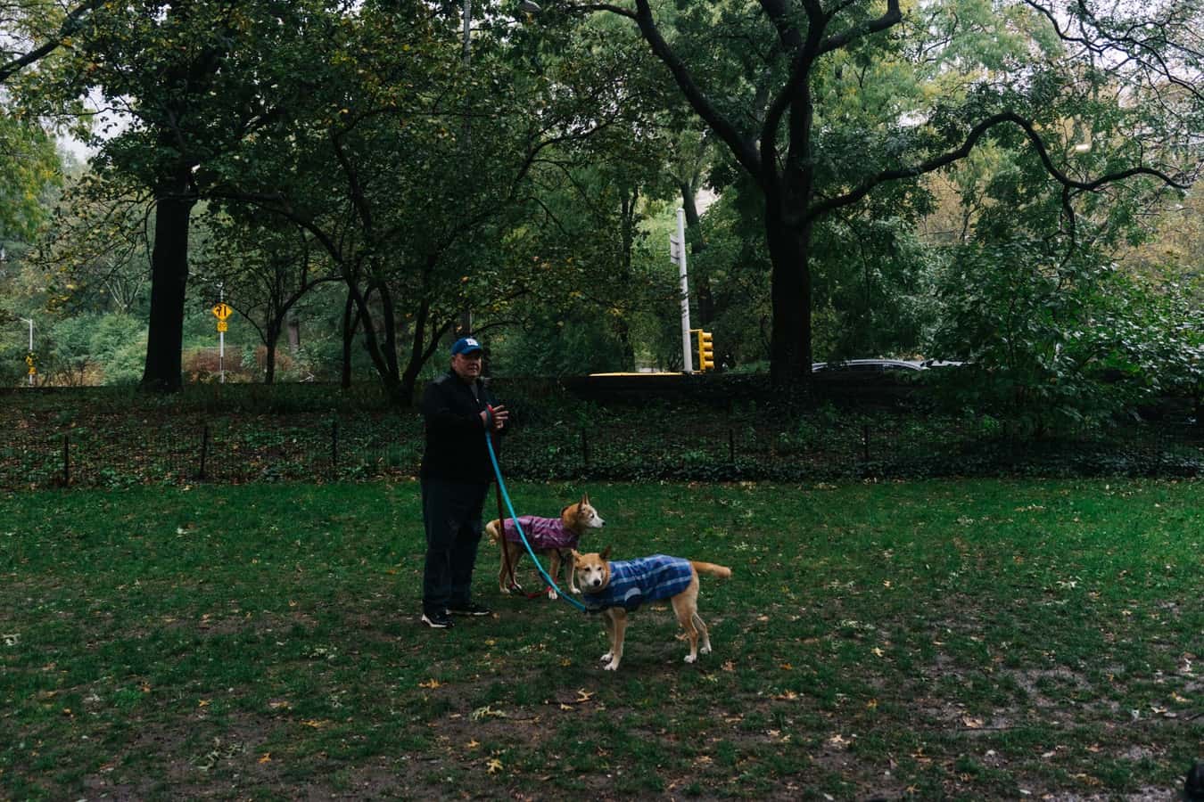 photo-1572228100856-05c488e45346