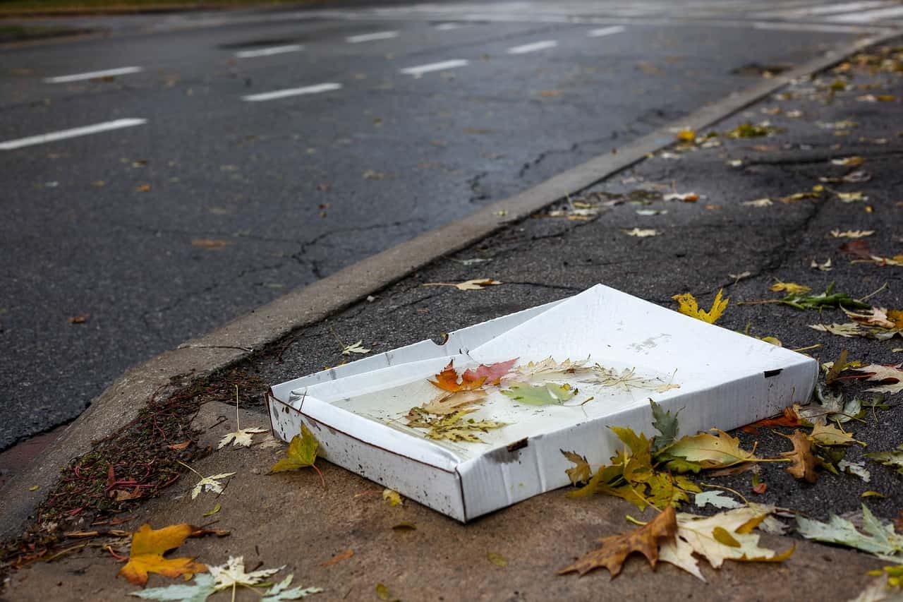 pizza-carton-4158098_1280