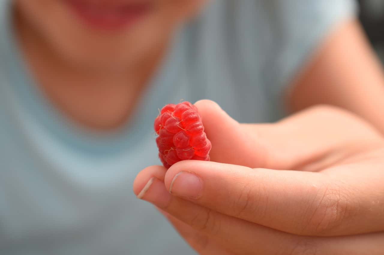 raspberry-2520944_1280