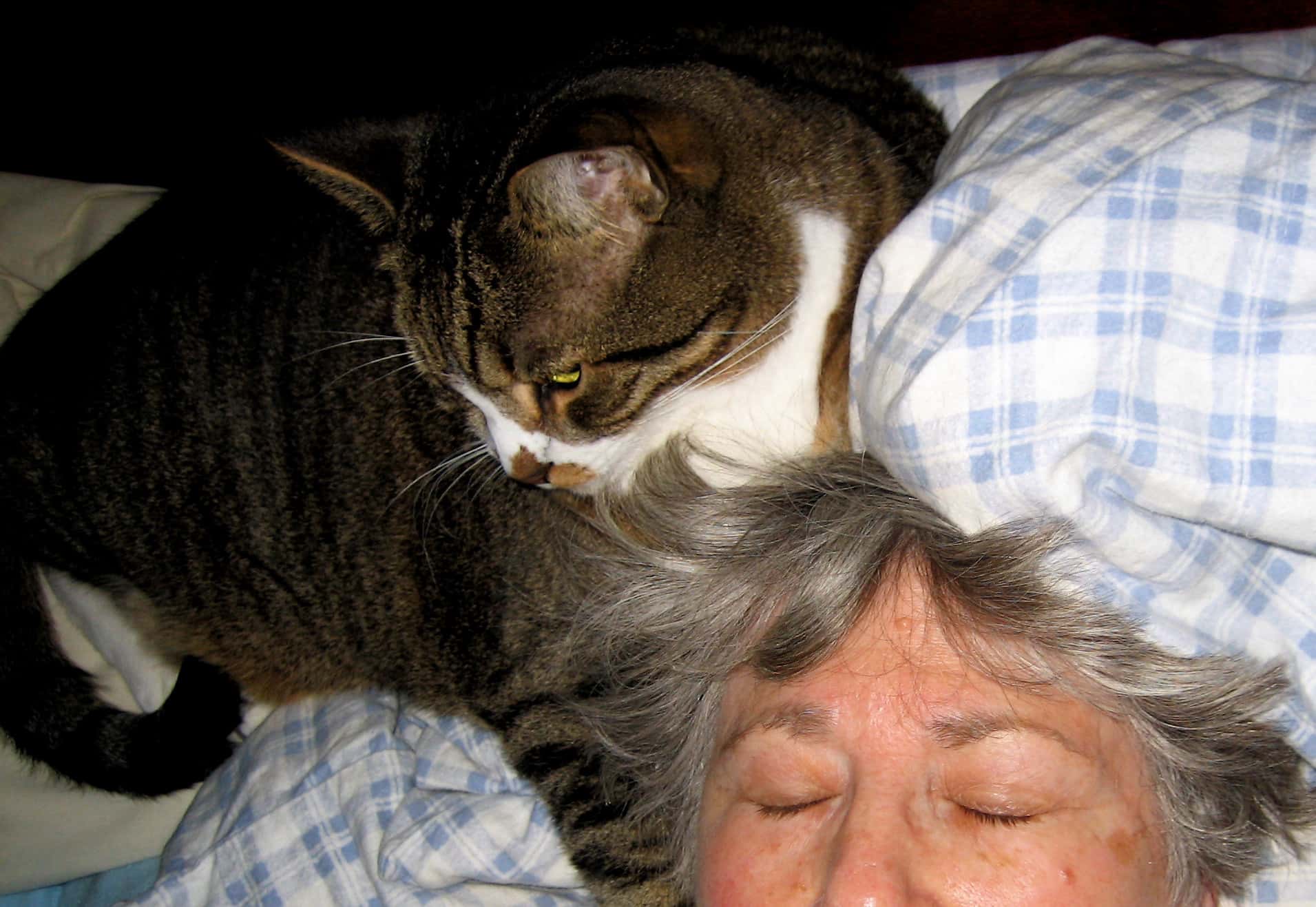 311086810_ebd3a7c14b_k