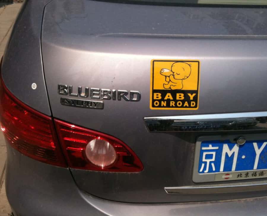 4679071573_b407109626_o