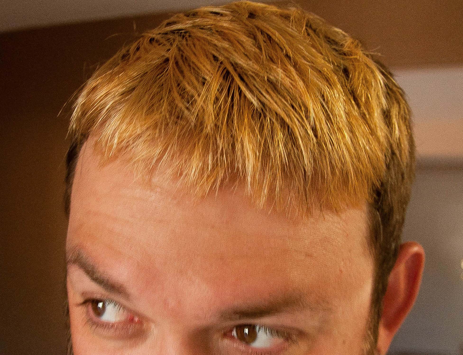 5349786674_76efecb614_o (1)