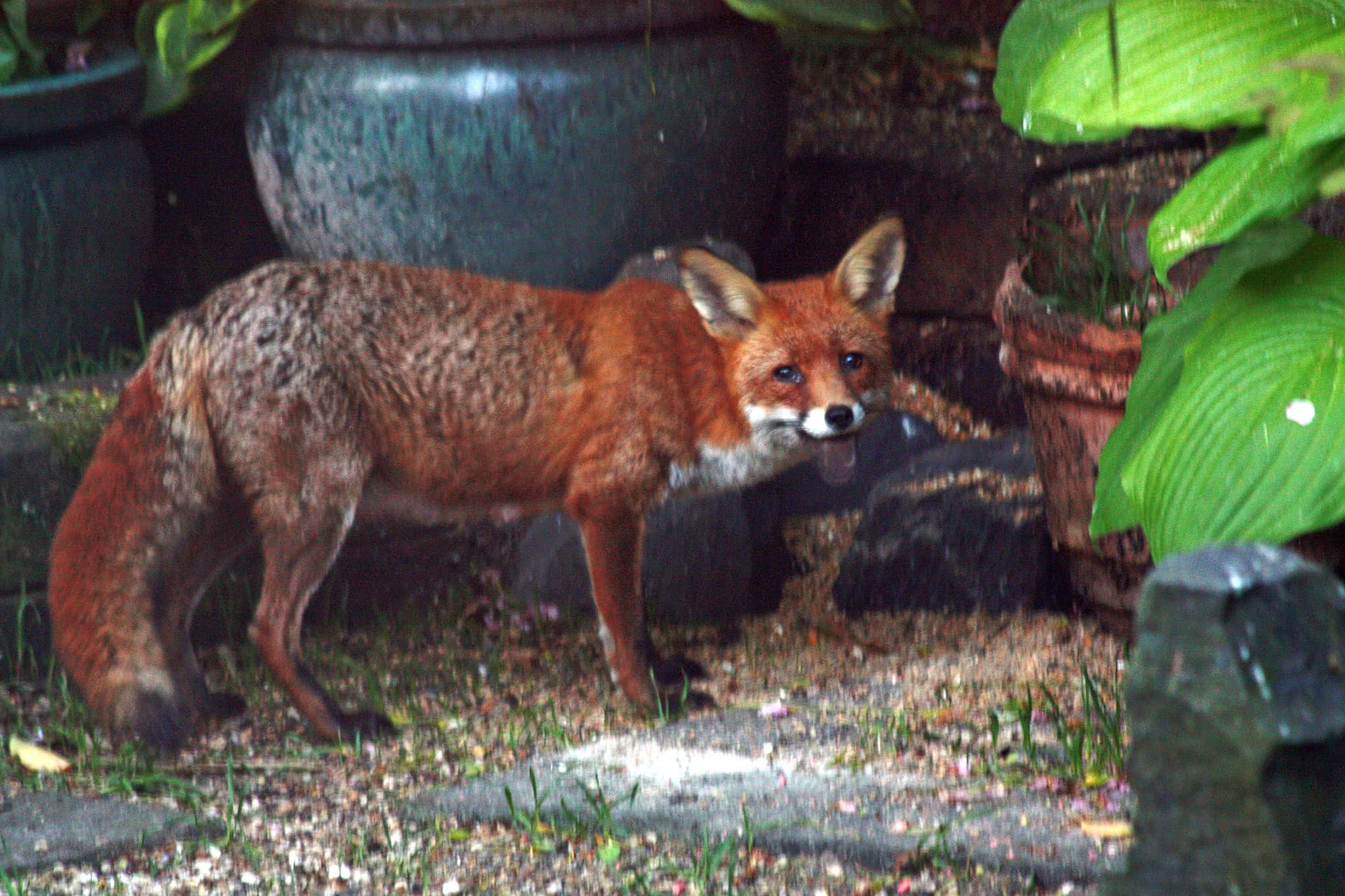 5728668729_e8685d6b92_k