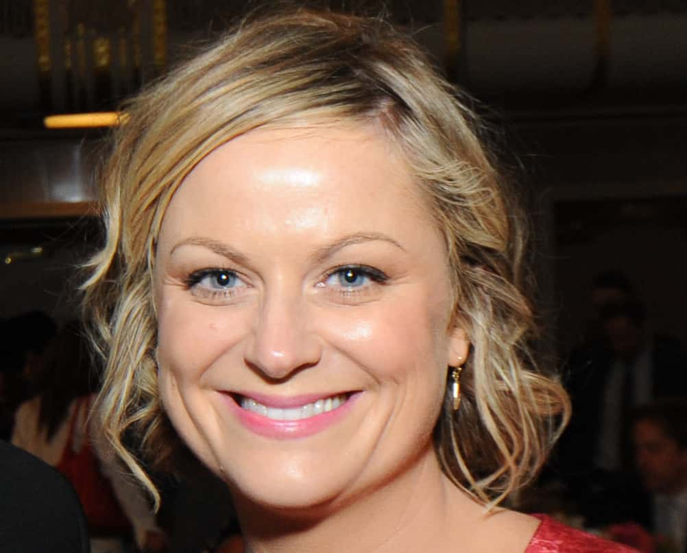 Amy_Poehler_(8894155873)_(cropped)