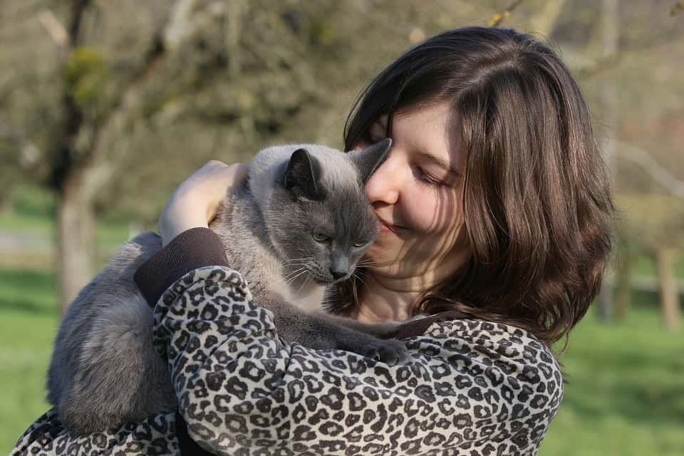 Animal Human Portrait Young Woman Nature Cat