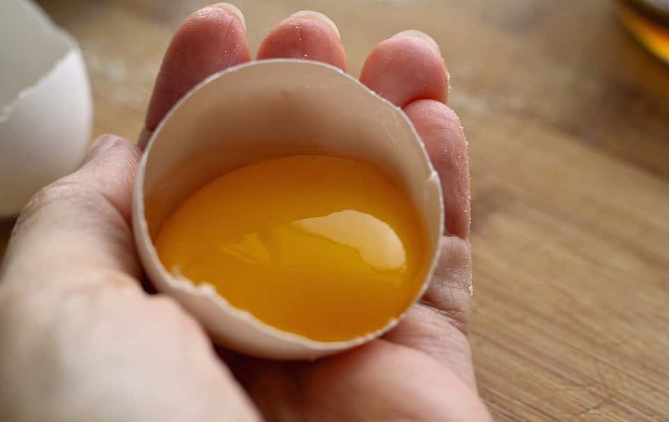 Hand Holding White Shell Yolk Yellow Raw Egg