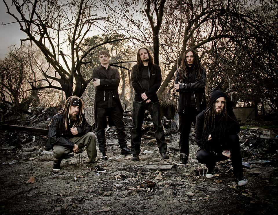 Korn,_2013